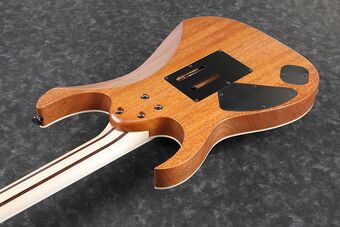 RGR5220M | Ibanez Wiki | Fandom
