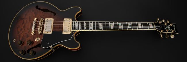 AM205 (1982–1987) | Ibanez Wiki | Fandom