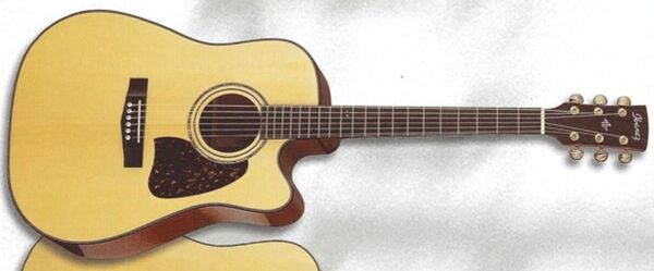AW400CE (2001) | Ibanez Wiki | Fandom