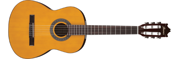 Ibanez spanish guitar hot sale