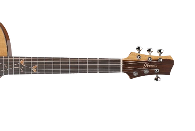 PF10 (1986–1998) | Ibanez Wiki | Fandom