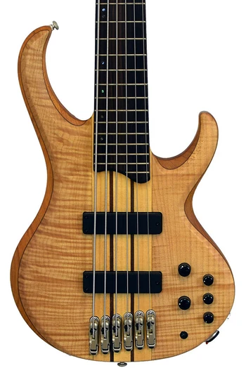 BTB1206E | Ibanez Wiki | Fandom