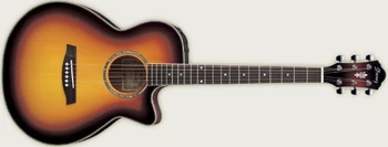 AEG10 | Ibanez Wiki | Fandom