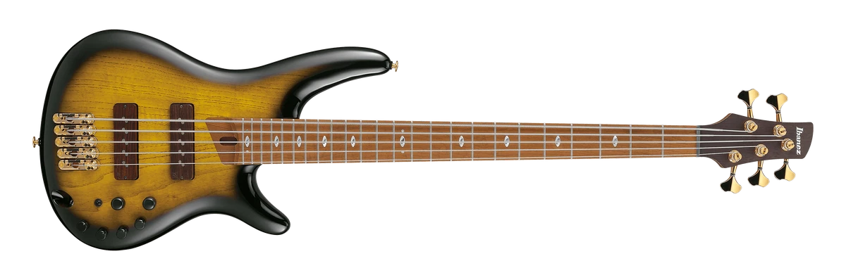 Ibanez SRG 450 QMZD【メンテナンス必須】 Ibanez SRG 450 QMZD【メンテナンス必須】 Ibanez SRG 450 QMZD