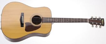 美品 Ibanez Artwood アコースティックギター AW250-LG AW250 | Ibanez Wiki | Fandom
