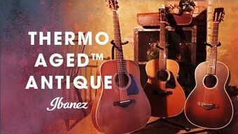 Ibanez avn11 deals