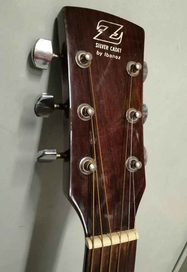 ZW300 | Ibanez Wiki | Fandom