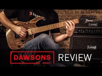 RG421HPAM | Ibanez Wiki | Fandom