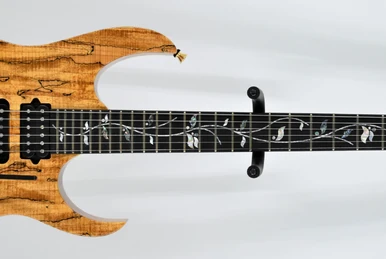RG8550MZ | Ibanez Wiki | Fandom
