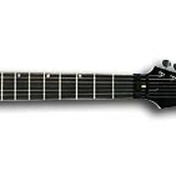 Category:Baritone guitar models | Ibanez Wiki | Fandom