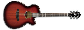 AEG12Ⅱ | Ibanez Wiki | Fandom