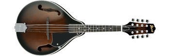 Ibanez m510dvs on sale