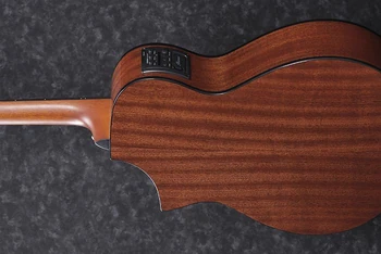 AEWC11 | Ibanez Wiki | Fandom