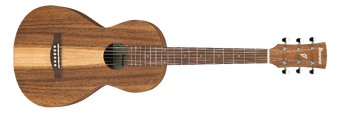 PN2WS | Ibanez Wiki | Fandom