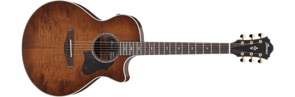 Ibanez ae245 best sale