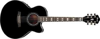 AEL30SE | Ibanez Wiki | Fandom