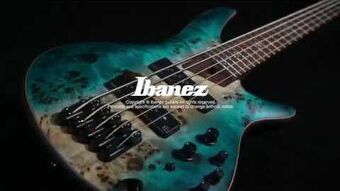 SR1605B | Ibanez Wiki | Fandom
