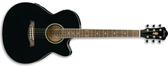 AEG5EJP | Ibanez Wiki | Fandom