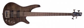SRX500 | Ibanez Wiki | Fandom