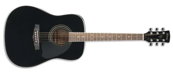 IJP2S | Ibanez Wiki | Fandom