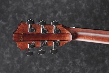AE325 | Ibanez Wiki | Fandom AE325 | Ibanez Wiki | Fandom