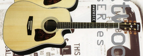 P:1995 Artwood series | Ibanez Wiki | Fandom