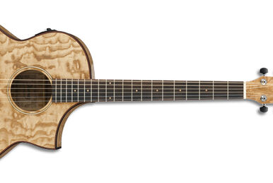 AEW51 | Ibanez Wiki | Fandom AEW51 | Ibanez Wiki | Fandom