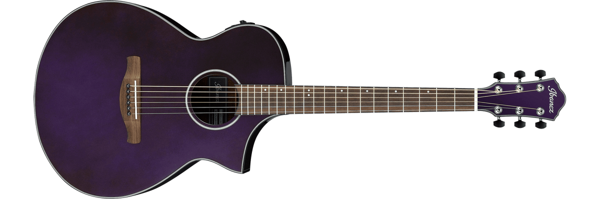 AEWC10 Ibanez Wiki Fandom