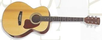 PC5 (1998–2000) | Ibanez Wiki | Fandom