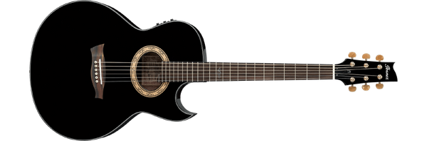 Ibanez euphoria on sale