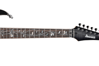 RG2570ZA | Ibanez Wiki | Fandom