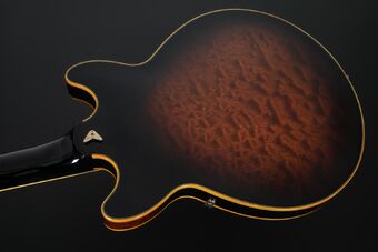 AM205 (1982–1987) | Ibanez Wiki | Fandom