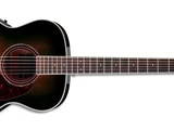 AC300E