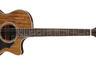 AE305 | Ibanez Wiki | Fandom