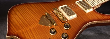 LACS5 bridge