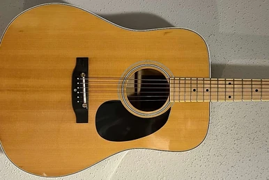 V200 | Ibanez Wiki | Fandom