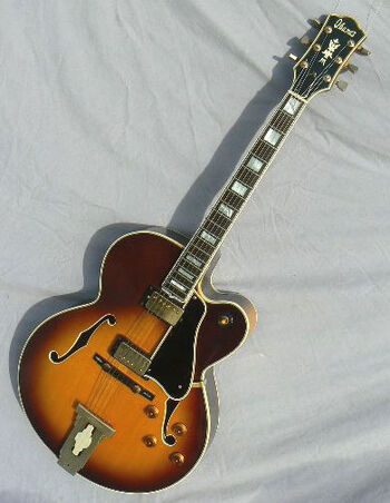 Ibanez 2460 shop