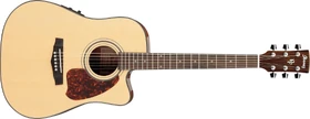 2010 PF30SECE-NT