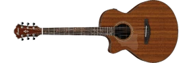 2020 AE295L LGS 1X 01