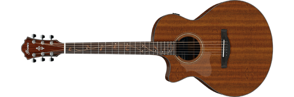 AE295L | Ibanez Wiki | Fandom