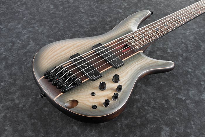 Ibanez sr1345 deals