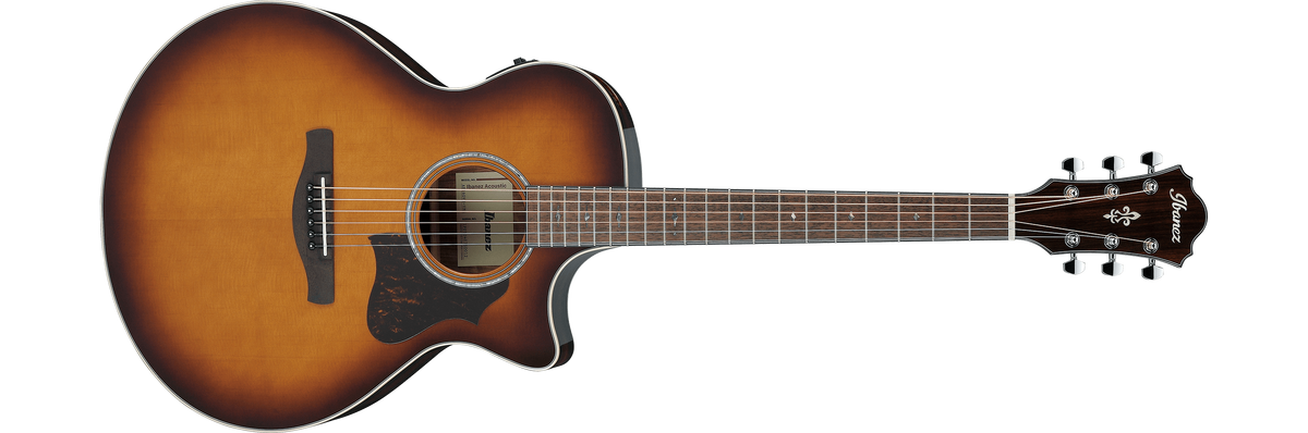 AE160 | Ibanez Wiki | Fandom