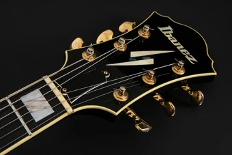 PM100 | Ibanez Wiki | Fandom