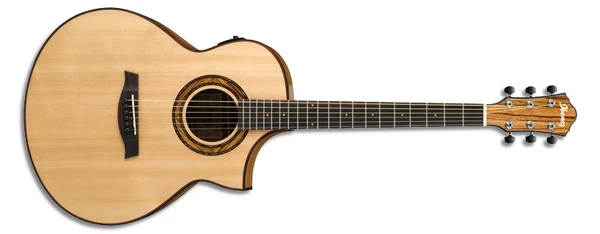 AEW23ZW ibanez エレアコ ギター AEW23ZW | Ibanez Wiki | Fandom
