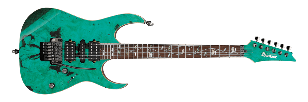 RG8570ZBB | Ibanez Wiki | Fandom