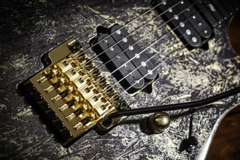 RG8020G-BQZ Lo-Pro Edge tremolo bridge