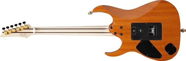 RG8570ZQM rear