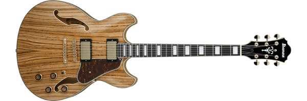 AS93ZW | Ibanez Wiki | Fandom