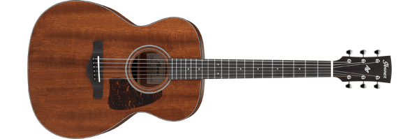 Ibanez thermo aged acoustic deals