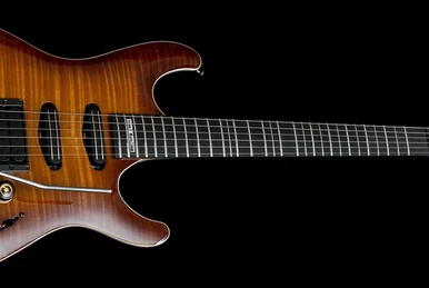 RGIX20FEQM | Ibanez Wiki | Fandom